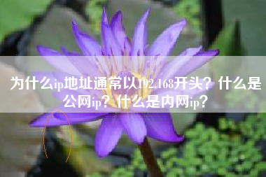 为什么ip地址通常以192.168开头？什么是公网ip？什么是内网ip？