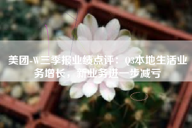 美团-W三季报业绩点评：Q3本地生活业务增长，新业务进一步减亏