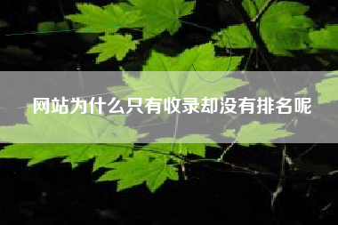 网站为什么只有收录却没有排名呢