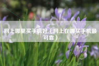 网上哪里买手机好（网上在哪买手机最可靠）