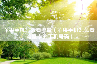 苹果手机怎么看流量（苹果手机怎么看流量卡的手机号码）