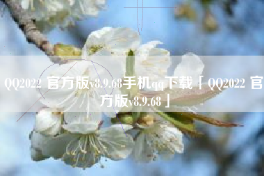QQ2022 官方版v8.9.68手机qq下载「QQ2022 官方版v8.9.68」