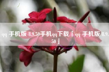 qq 手机版 8.9.50手机qq下载「qq 手机版 8.9.50」