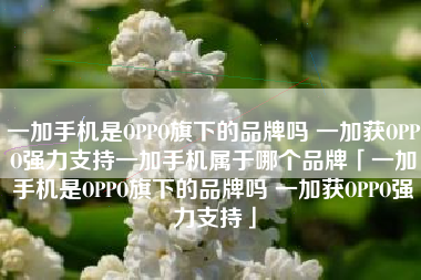 一加手机是OPPO旗下的品牌吗 一加获OPPO强力支持一加手机属于哪个品牌「一加手机是OPPO旗下的品牌吗 一加获OPPO强力支持」