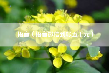 语音（语音微信到帐五千元）