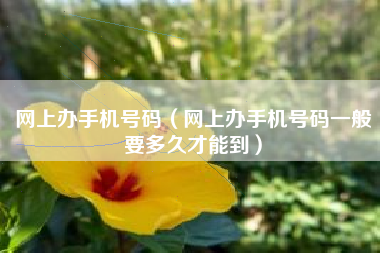 网上办手机号码（网上办手机号码一般要多久才能到）