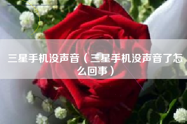 三星手机没声音（三星手机没声音了怎么回事）