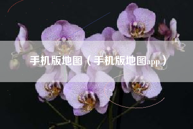 手机版地图（手机版地图app）