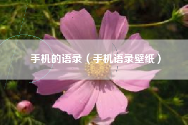 手机的语录（手机语录壁纸）