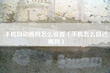 手机自动断网怎么设置（手机怎么自己断网）