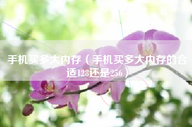 手机买多大内存（手机买多大内存的合适128还是256）