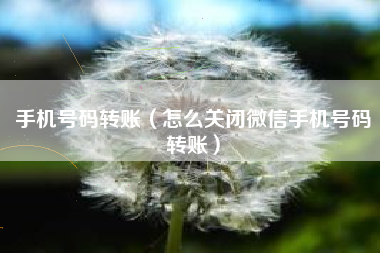 手机号码转账（怎么关闭微信手机号码转账）