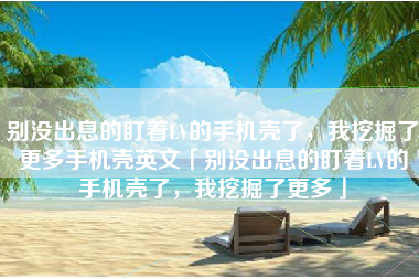 别没出息的盯着LV的手机壳了，我挖掘了更多手机壳英文「别没出息的盯着LV的手机壳了，我挖掘了更多」