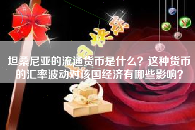 坦桑尼亚的流通货币是什么？这种货币的汇率波动对该国经济有哪些影响？